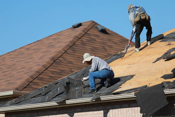Best Roof Leak Repair  in Greenville, AL