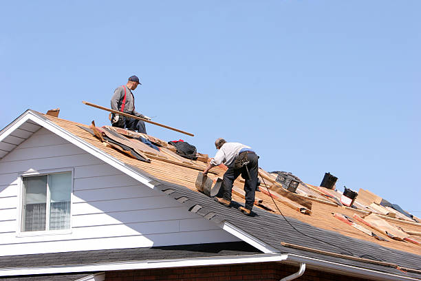 Best Rubber Roofing (EPDM, TPO)  in Greenville, AL